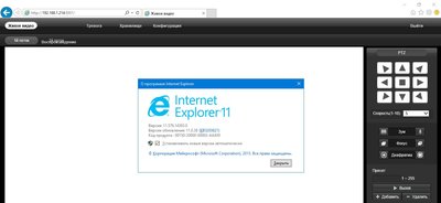 IE version.jpg