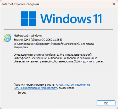 IE_Win11.png