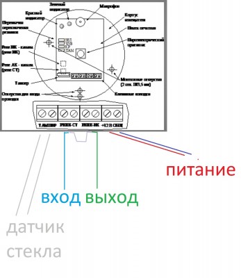 астра8.jpg