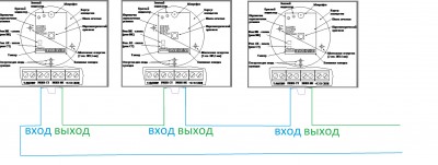 астра8_1.jpg