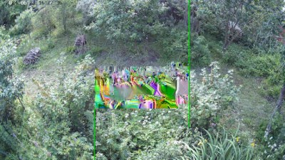 Camera_bug.jpg