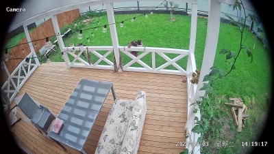 202409031418151725355095788 (1).jpg (418.36 КБ) 1647 просмотров 202409031418151725355095788 (1).jpg