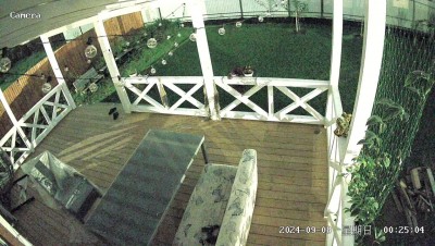 IMG_20240927_173105_264.jpg