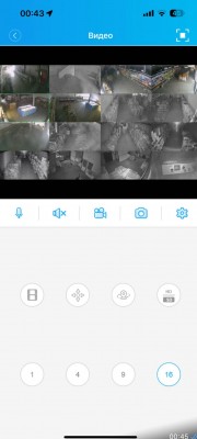 IMG_6061.jpeg