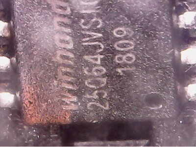 3569.jpg
